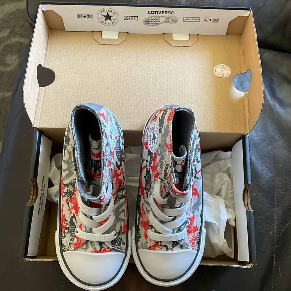 NEW Converse Chuck Taylor Hightop Dino Shoes 10C